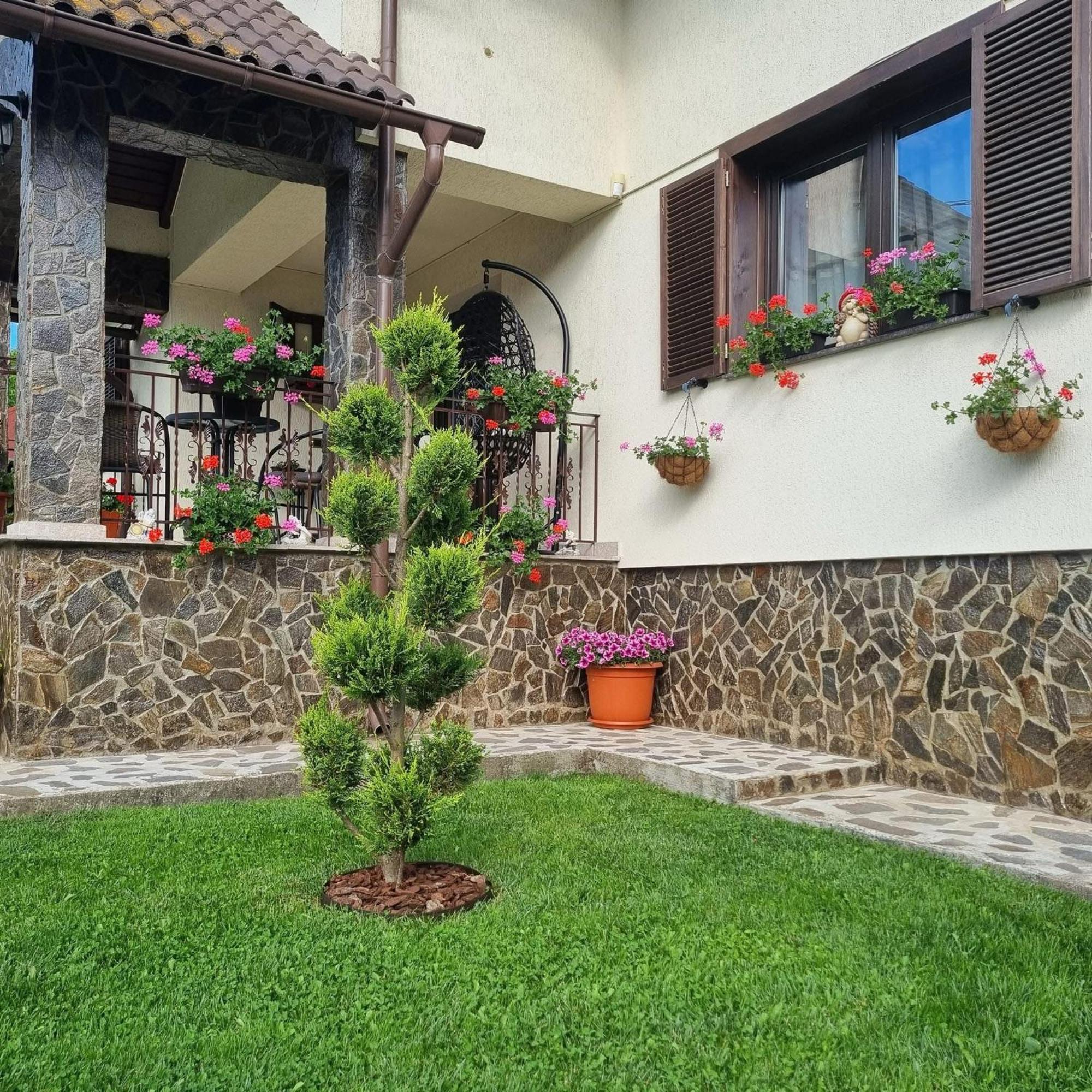 Pensiunea Select Curtea De Arges Luaran gambar
